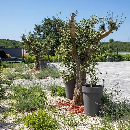 Apartman Paradis *